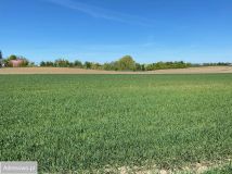 Działka budowlana Brzozowo