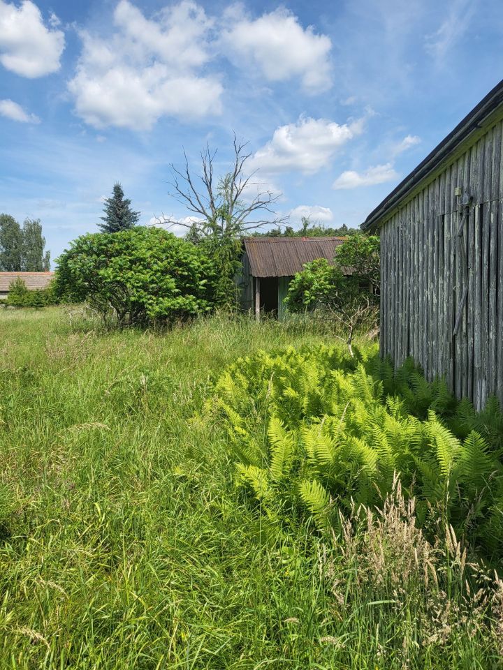 Działka inwestycyjna Lubów. Zdjęcie 8