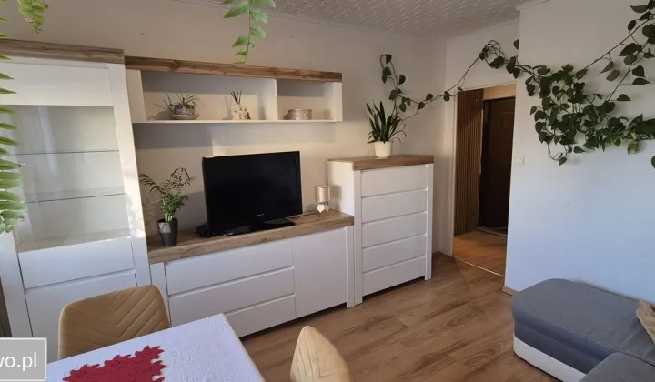 Mieszkanie 2-pokojowe Jastrzębie-Zdrój, os. 1000-lecia