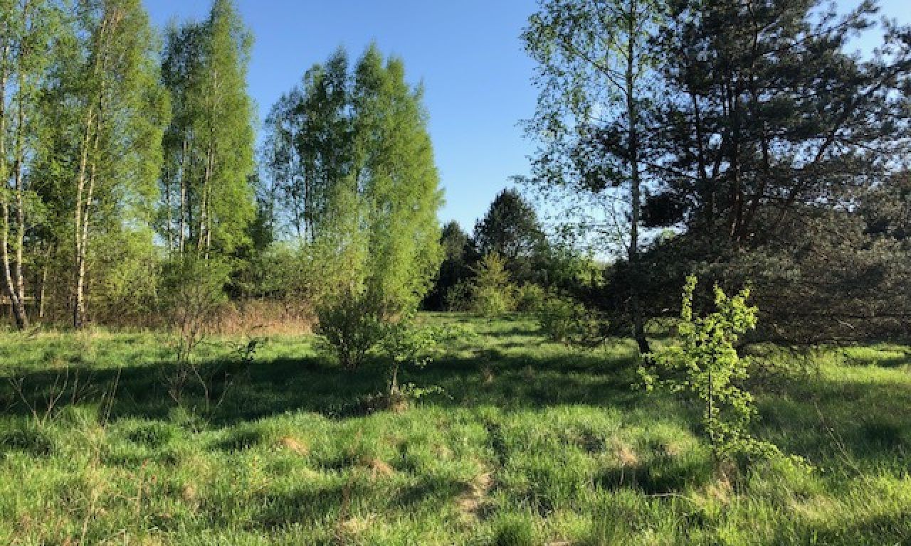 Działka budowlana Tomaszew. Zdjęcie 6