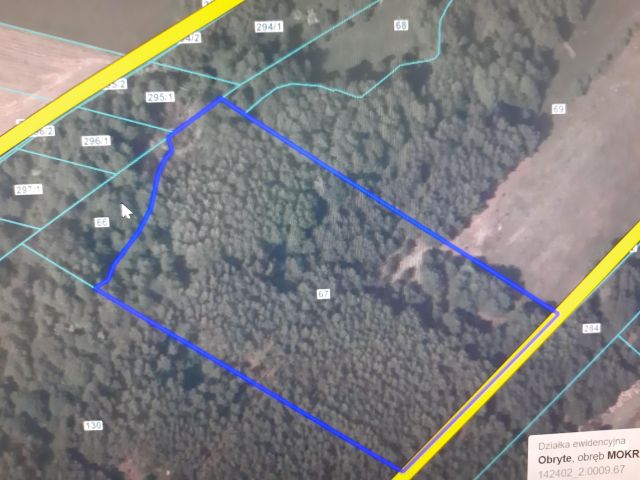 Działka leśna Mokrus. Zdjęcie 1
