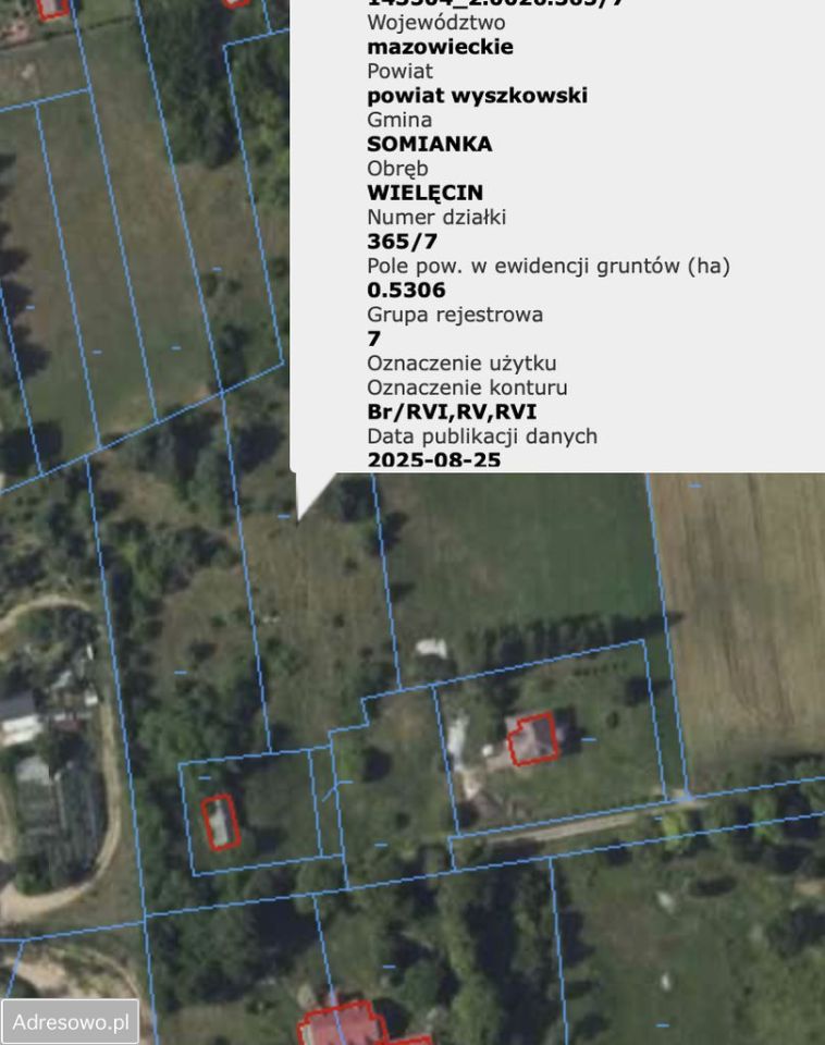 Działka rolna Wielęcin. Zdjęcie 4