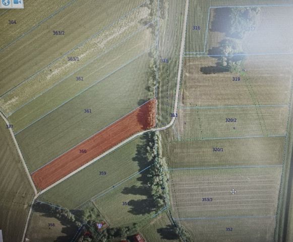 Działka rolna Wola Rogowska Lipie. Zdjęcie 1