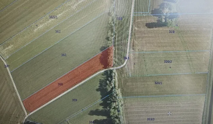 Działka rolna Wola Rogowska Lipie