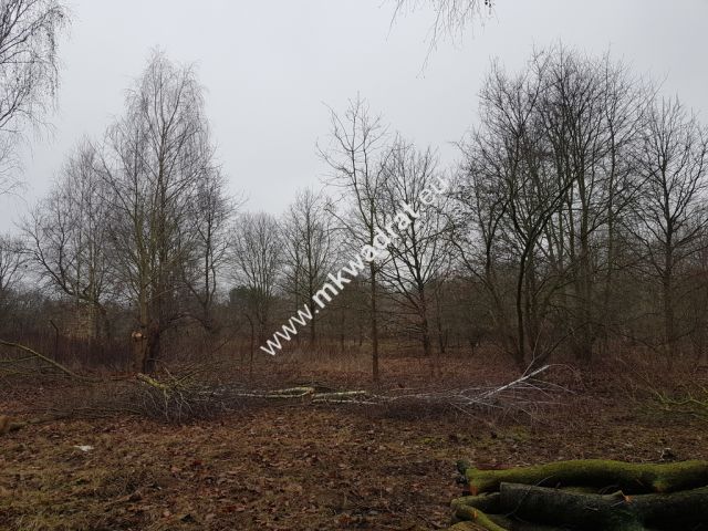 Działka budowlana Komorów. Zdjęcie 6