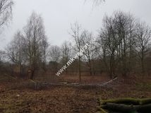 Działka budowlana Komorów. Zdjęcie 4