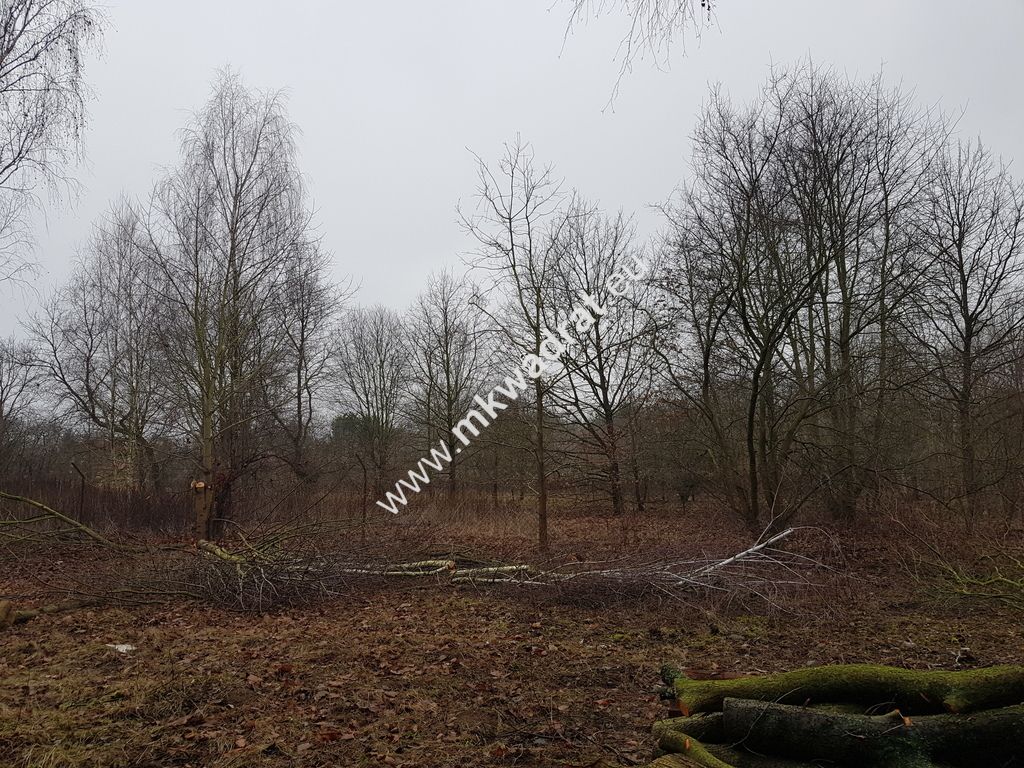 Działka budowlana Komorów. Zdjęcie 6