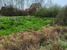 Działka budowlana Zajezierze. Zdjęcie 3