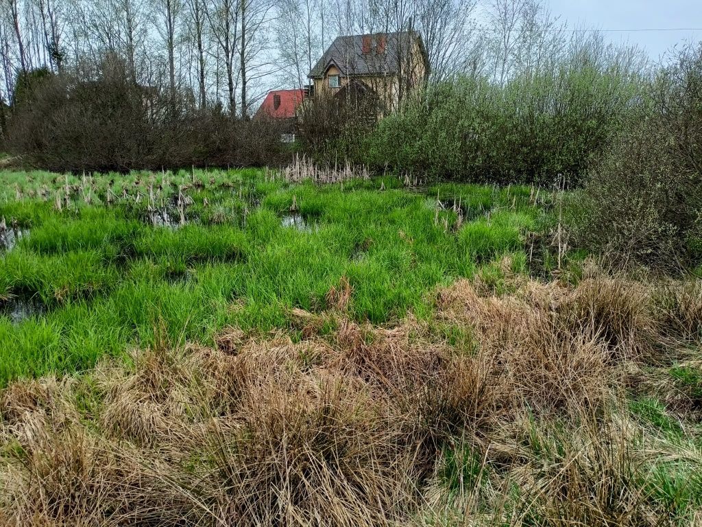 Działka budowlana Zajezierze. Zdjęcie 4