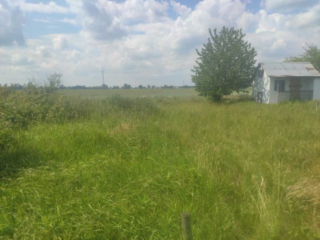 Działka rod Nowy Dwór Gdański. Zdjęcie 1