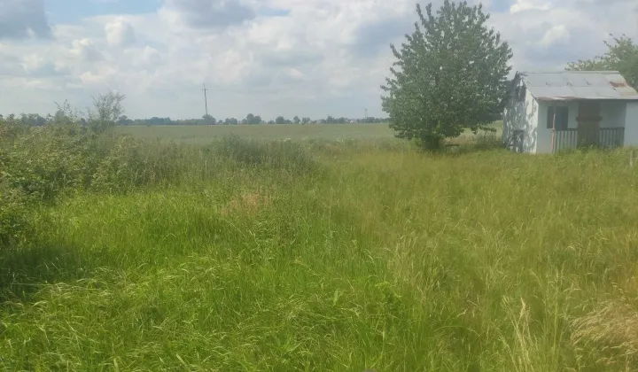 Działka rod Nowy Dwór Gdański