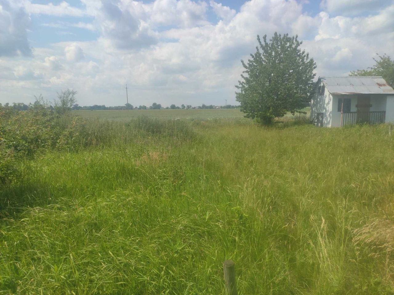 Działka rod Nowy Dwór Gdański. Zdjęcie 1