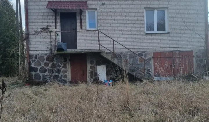 Działka rolna Bruszewo-Borkowizna