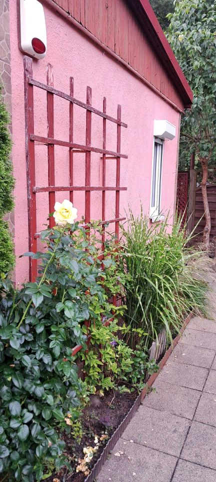 Działka rod Toruń. Zdjęcie 4