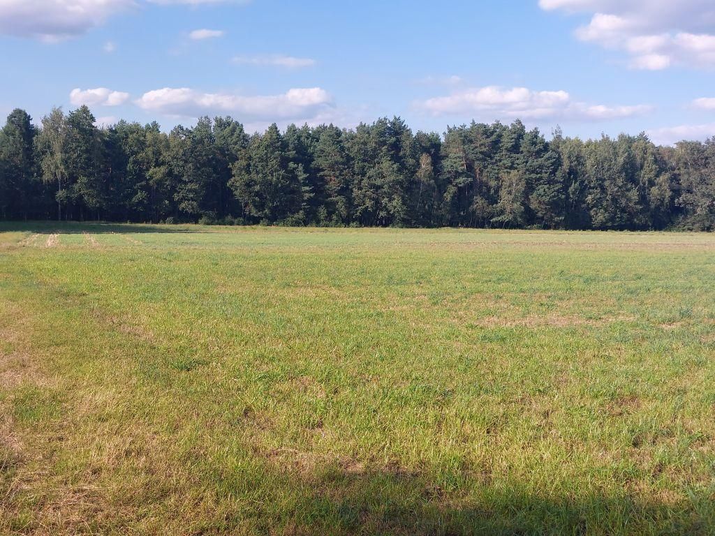 Działka rolno-budowlana Zamęty. Zdjęcie 9