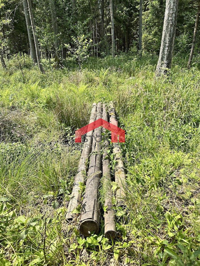 Działka leśna Rudnica. Zdjęcie 11