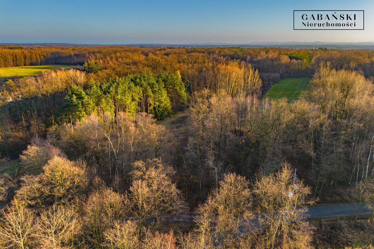 Działka budowlana Zaczarnie. Zdjęcie 8