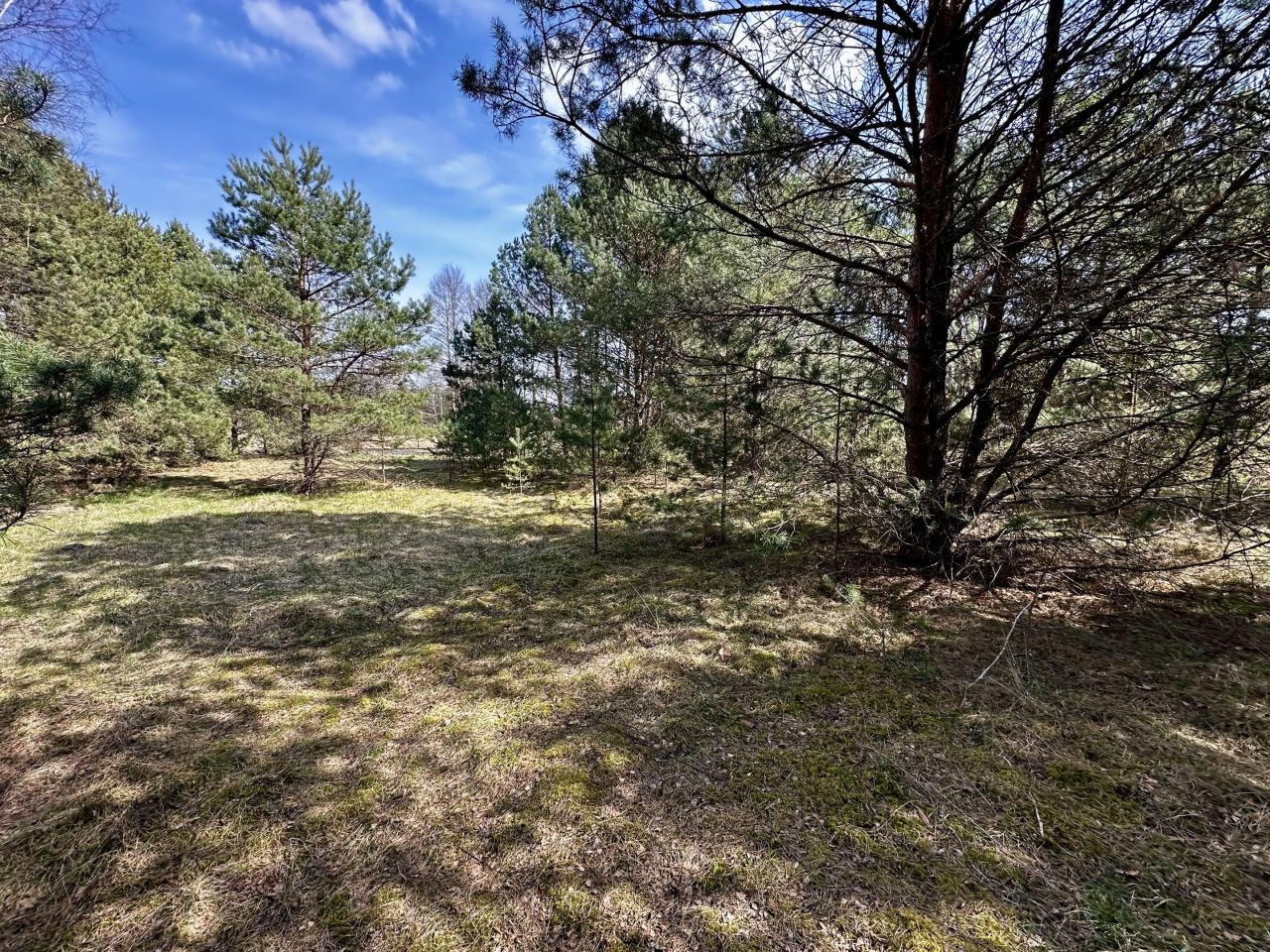 Działka budowlana Ocypel, ul. Wczasowa. Zdjęcie 7