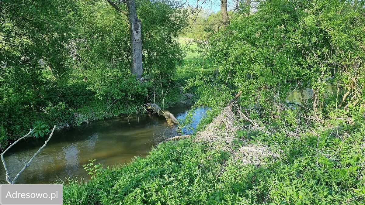 Działka rolna Łąki. Zdjęcie 10