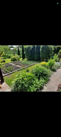 Działka rod Siedlce, ul. Graniczna. Zdjęcie 1