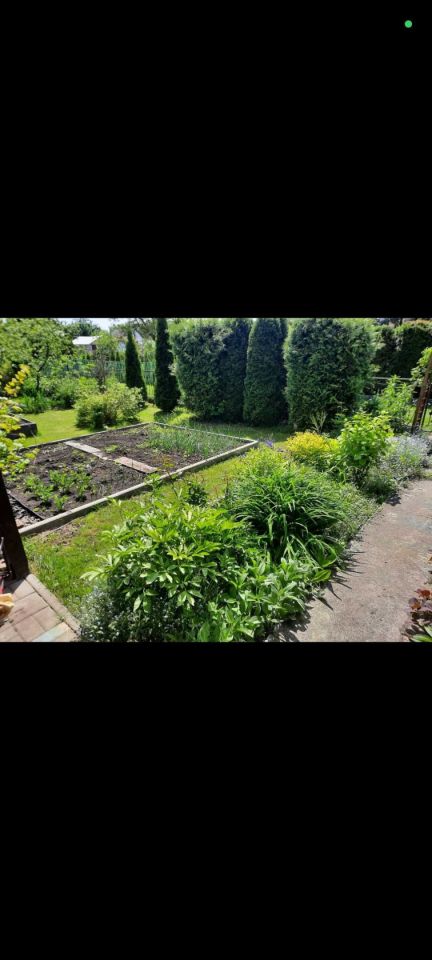 Działka rod Siedlce, ul. Graniczna