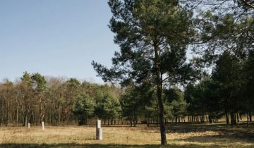 Działka budowlana Rajszew, ul. Mazowiecka