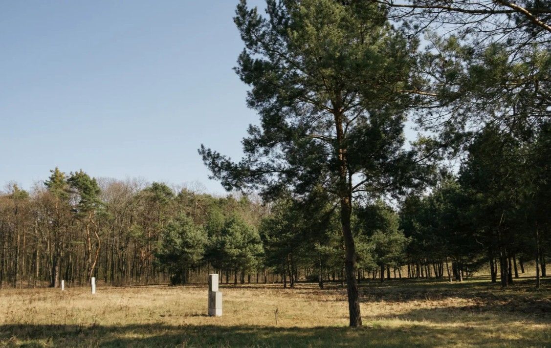 Działka budowlana Rajszew, ul. Mazowiecka