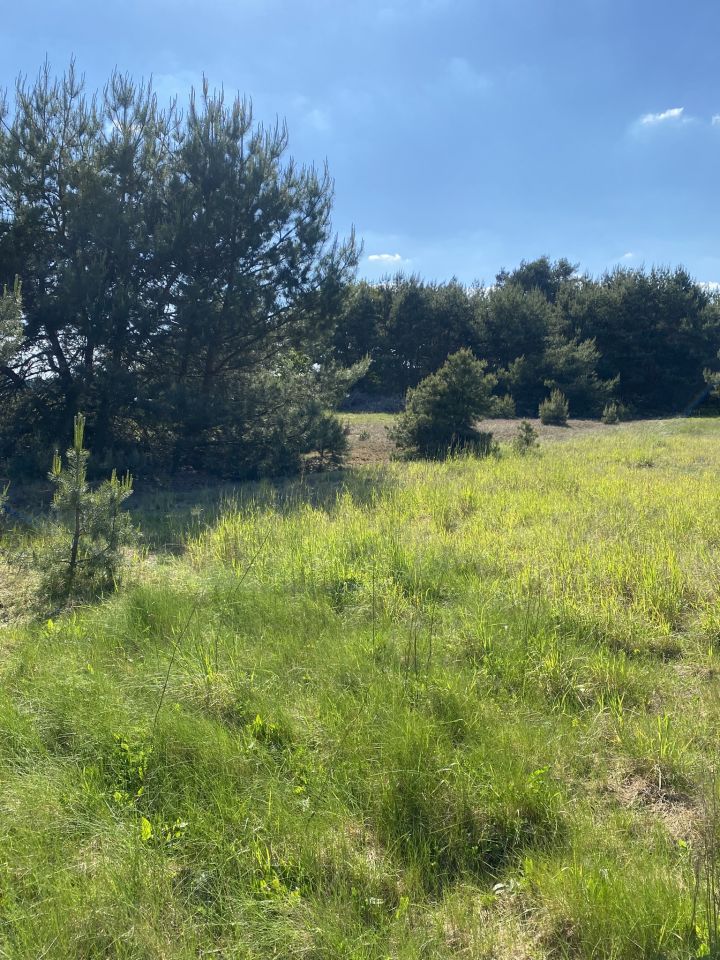 Działka rolno-budowlana Brzozówka. Zdjęcie 3