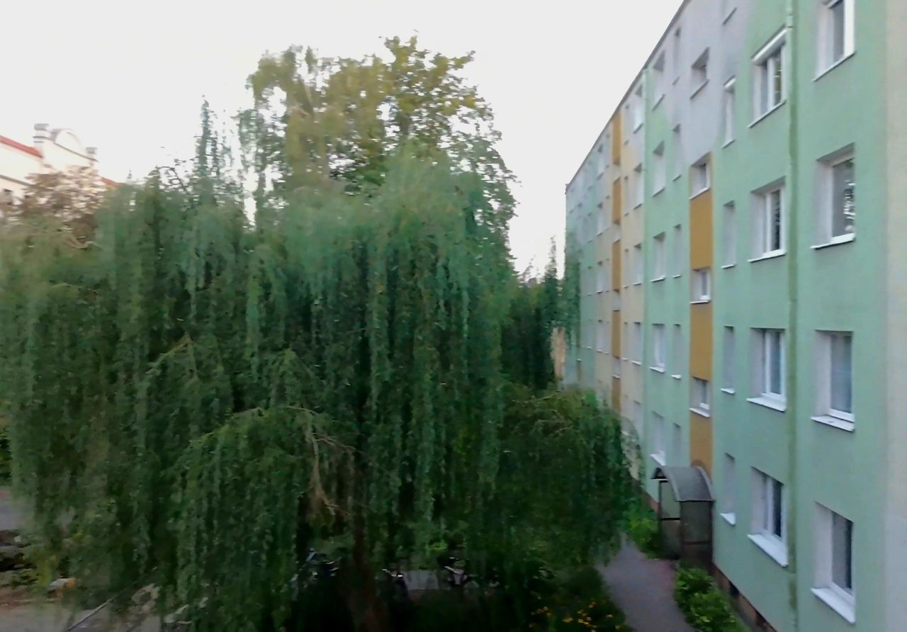 Mieszkanie 3-pokojowe Toruń Mokre, ul. Polskiego Czerwonego Krzyża. Zdjęcie 13