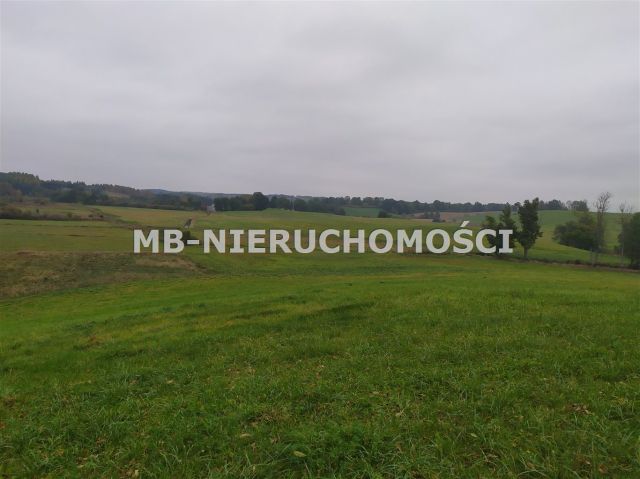 Działka rolna Sorkwity. Zdjęcie 10