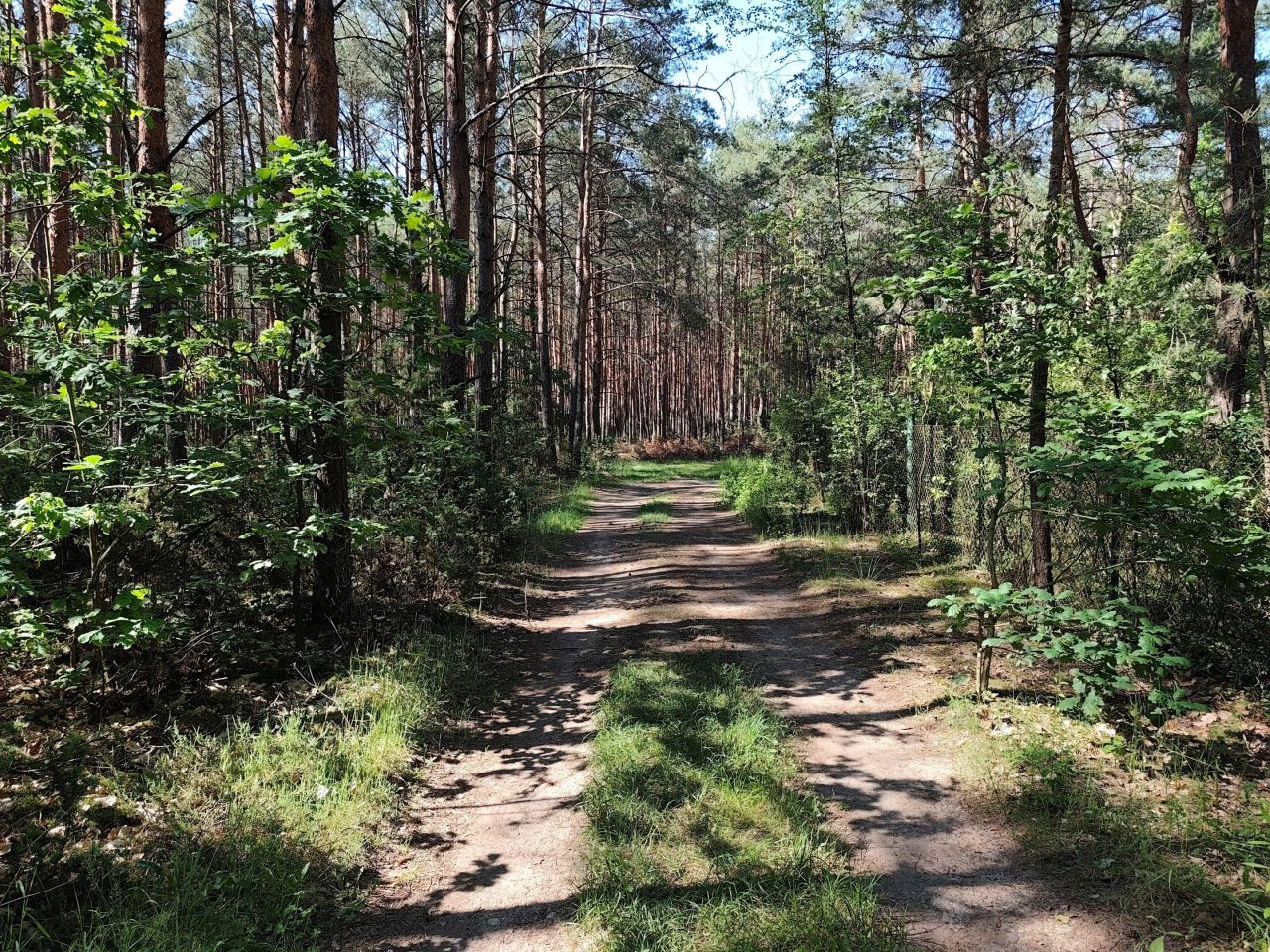 Działka inna Huta Podgórna, ul. Leśna. Zdjęcie 26