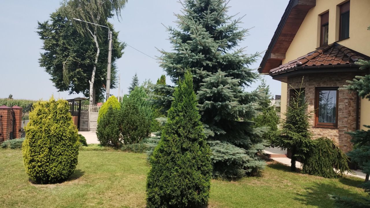 dom wolnostojący, 5 pokoi Korzeniew. Zdjęcie 1