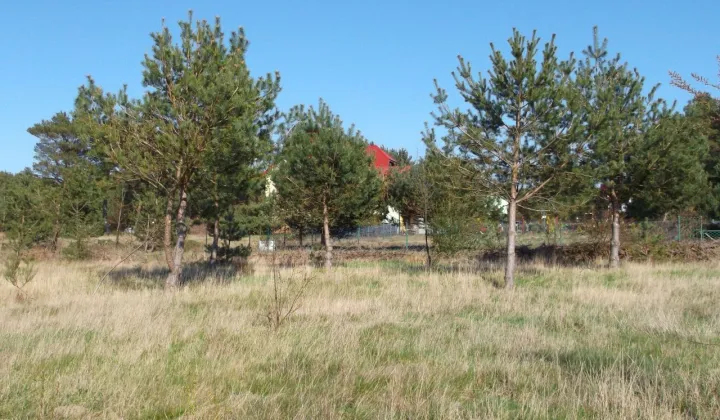 Działka budowlana Rozewie, ul. Jastrzębia