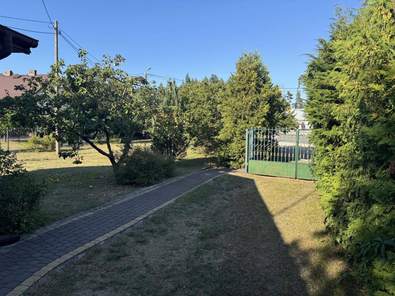 Działka siedliskowa Zieleniec. Zdjęcie 15