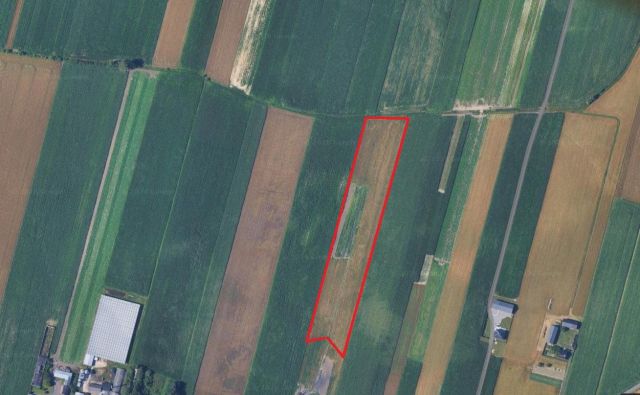 Działka rolna Kolonia Skarszewek. Zdjęcie 1