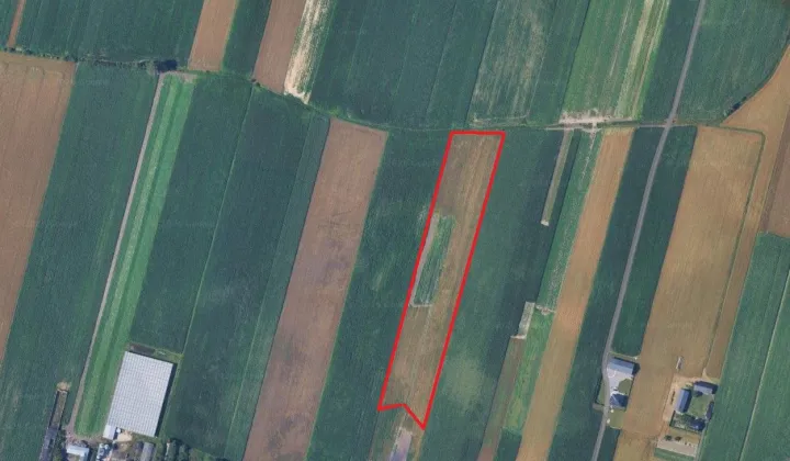 Działka rolna Kolonia Skarszewek