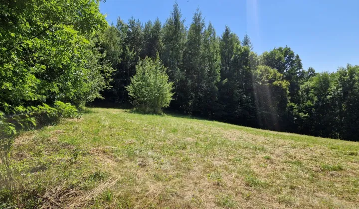 Działka rolno-budowlana Zamszany