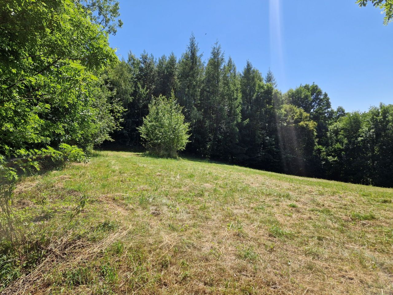 Działka rolno-budowlana Zamszany. Zdjęcie 1