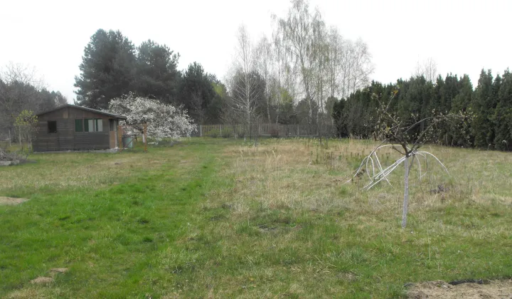 Działka rolno-budowlana Miłkowska Karczma