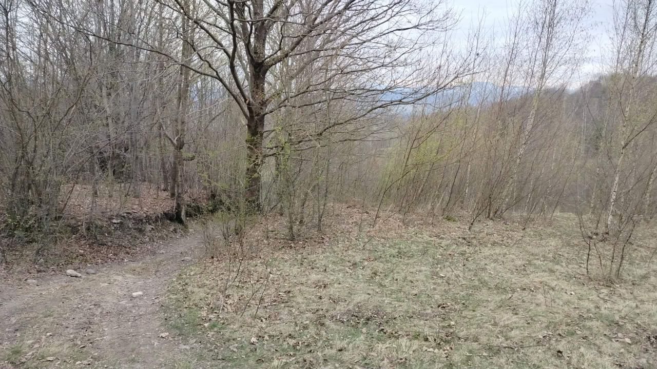 Działka rolno-budowlana Kocierz Moszczanicki, ul. Gronikowa. Zdjęcie 9