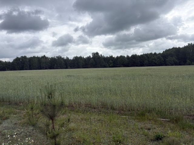 Działka budowlana Władysławowo. Zdjęcie 1