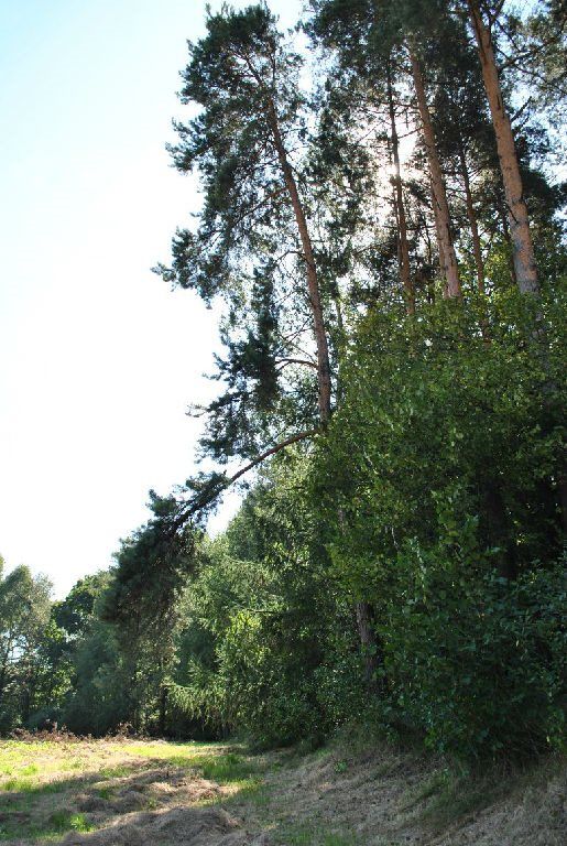 Działka budowlana Kęty Podlesie. Zdjęcie 3