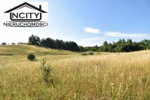 Działka rolna Zła Wieś. Zdjęcie 4