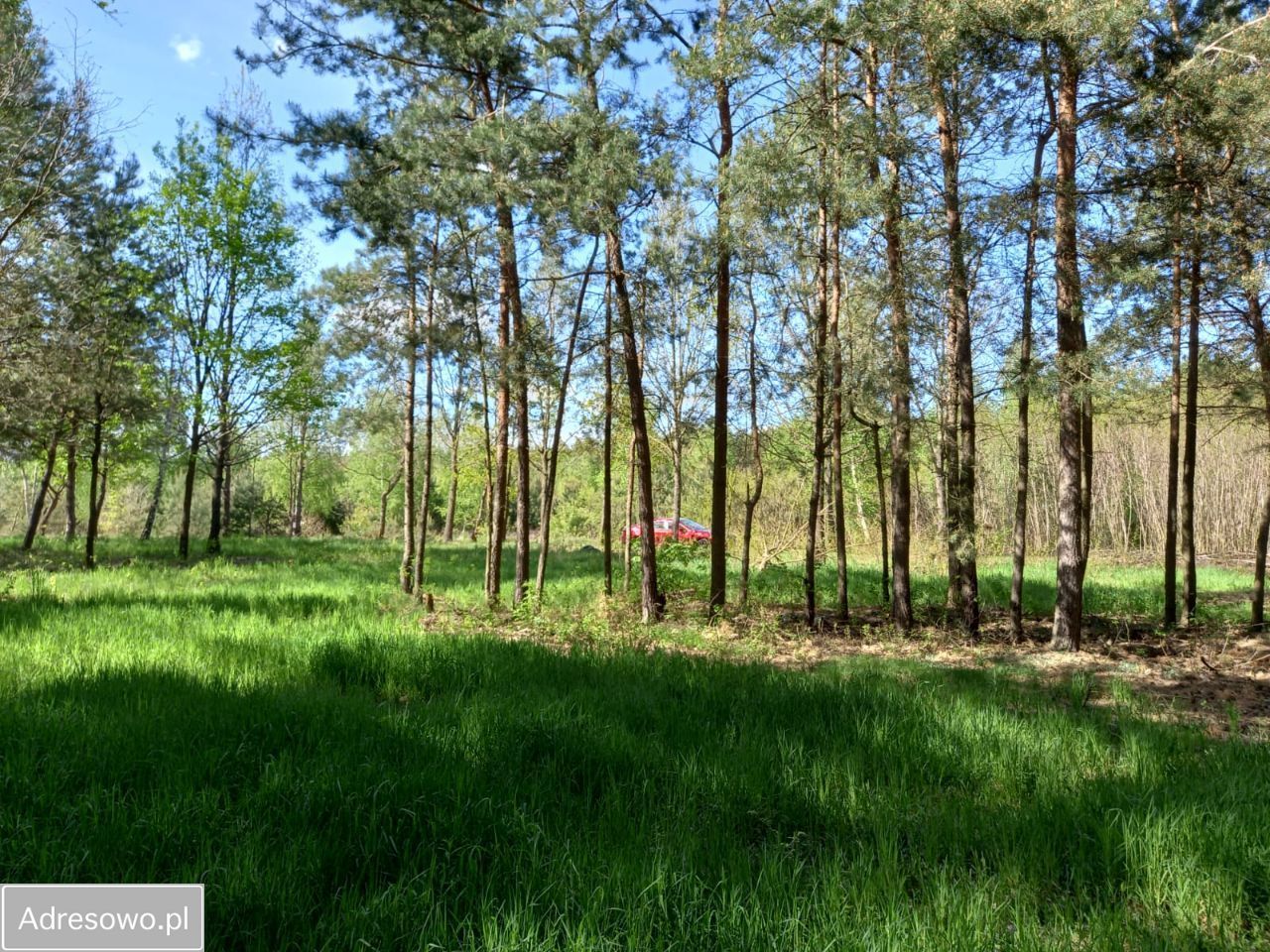 Działka budowlana Kępiaste. Zdjęcie 7