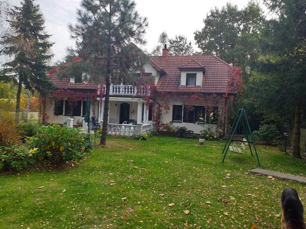 siedlisko Runów. Zdjęcie 5