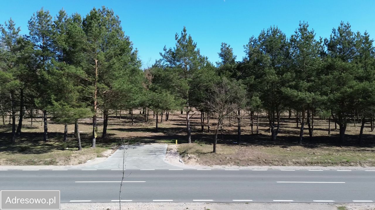 Działka budowlana Marynino. Zdjęcie 8