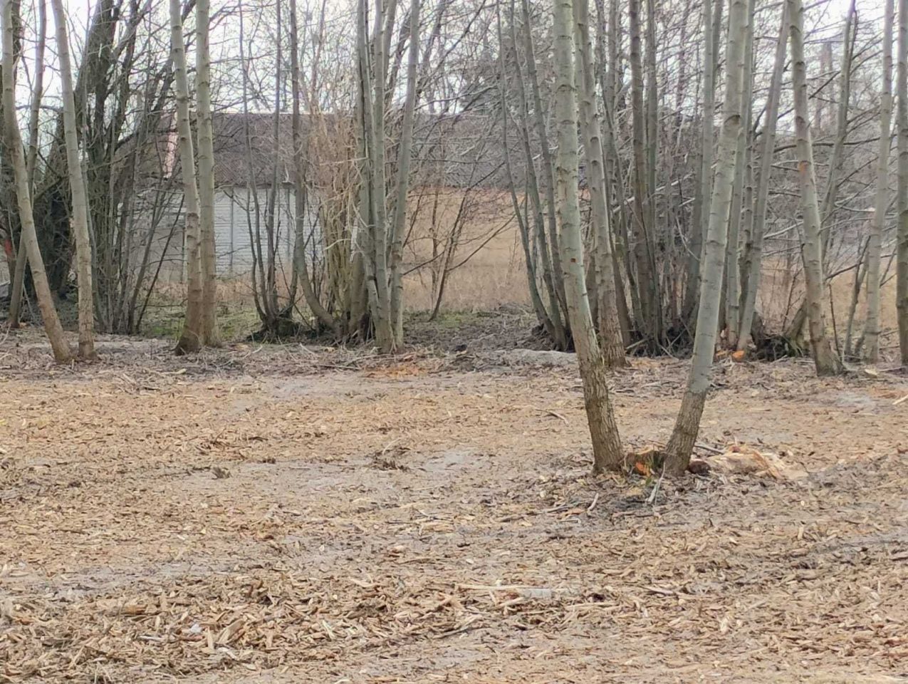 Działka budowlana Bartniki. Zdjęcie 7