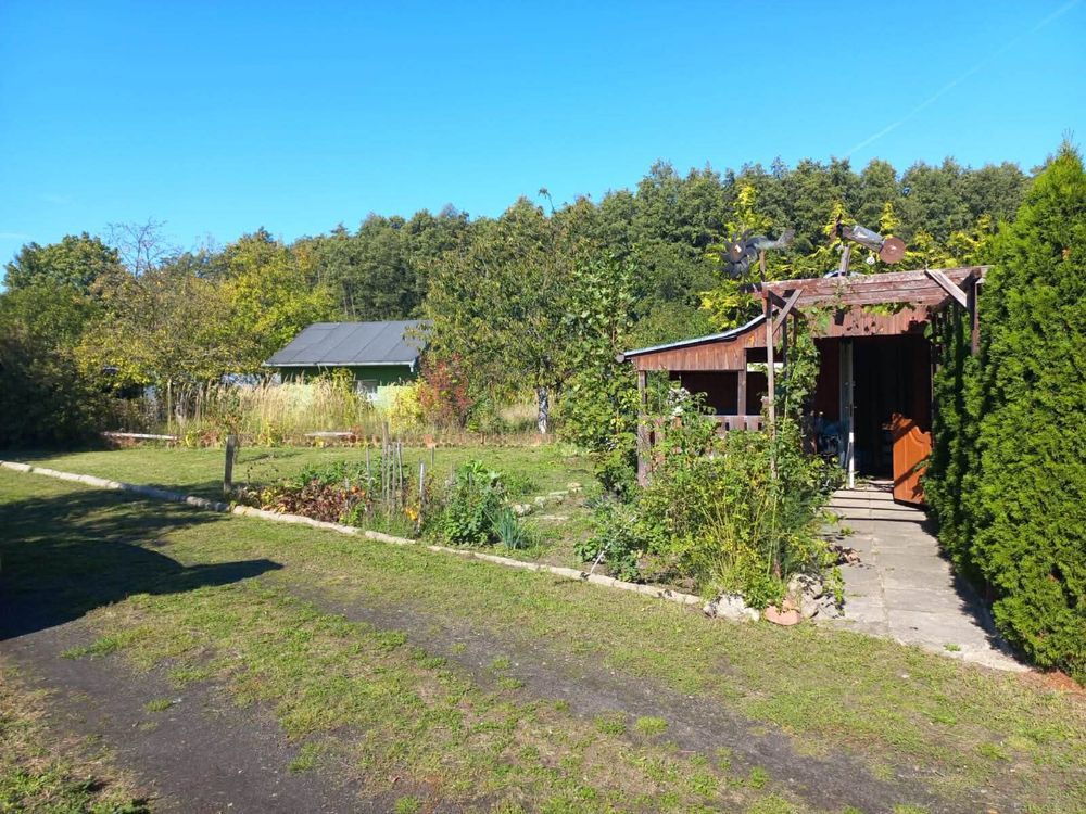 Działka rod Zielęcice. Zdjęcie 6