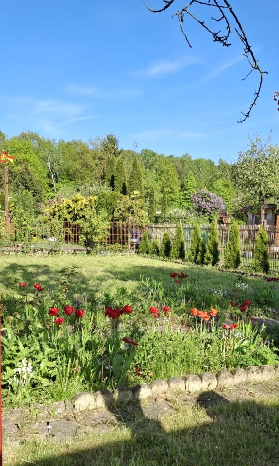 Działka rekreacyjna Zabrze Guido, Os. Janek. Zdjęcie 4