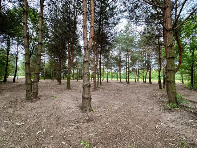 Działka budowlana Mieszkowo, ul. Szklarniowa. Zdjęcie 1